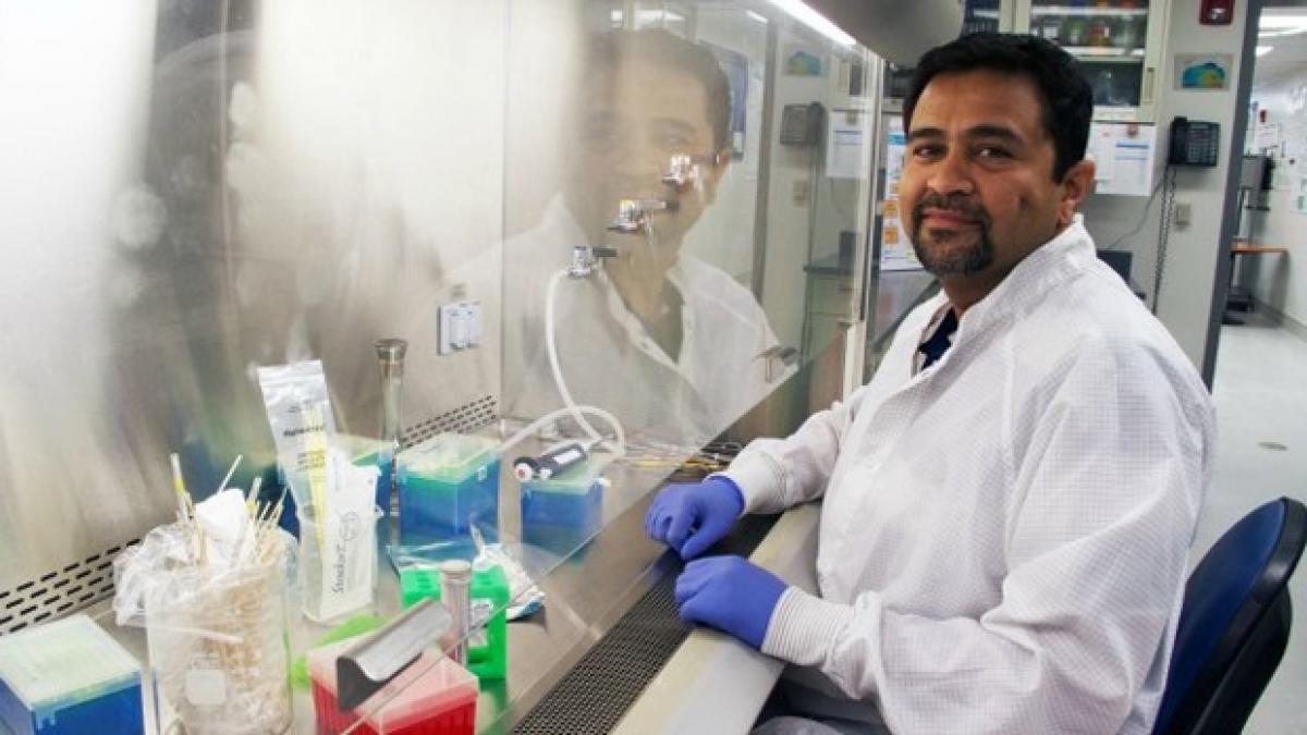Indian origin researcher finds bacterias role in breast cancer 